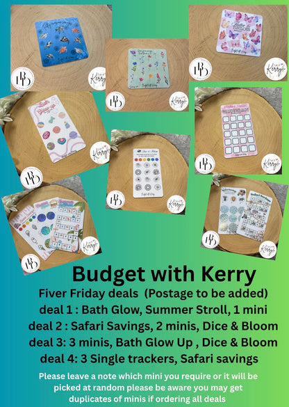 Budget With Kerry Savings Challenges