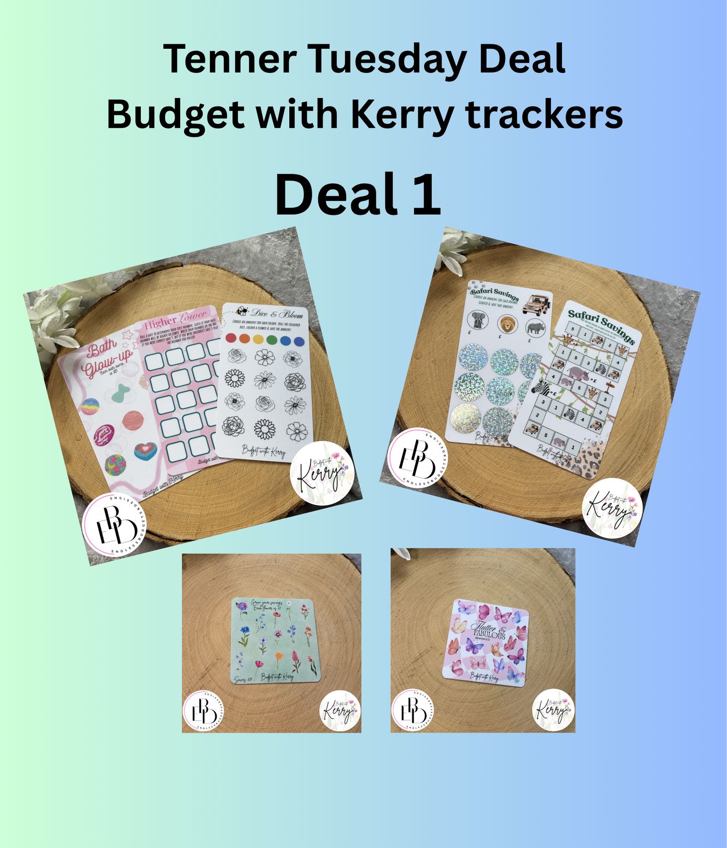Budget With Kerry Savings Challenges