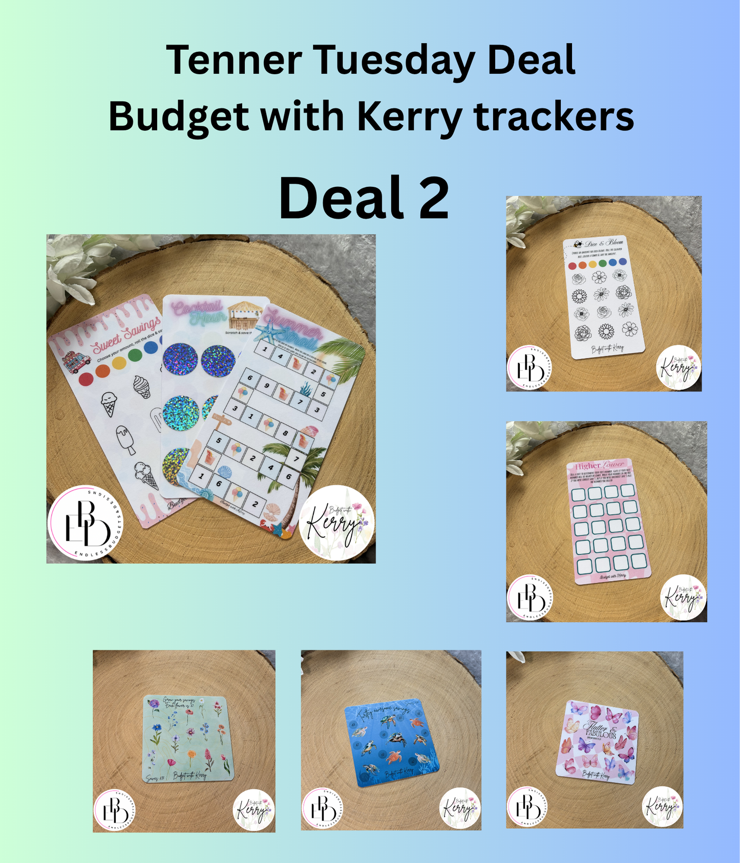 Budget With Kerry Savings Challenges