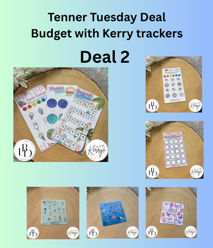 Budget With Kerry Savings Challenges