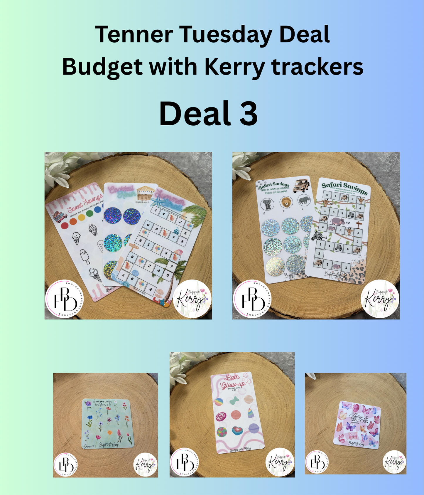 Budget With Kerry Savings Challenges
